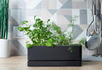 D'vine Dev 12 Inch Window Box Planter, Rectangle Plastic Herb Planter - Image 3