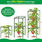 6 Pack Square Tomato Cages, 49.2" Large Upgraded Heavy Duty Steel Tomato - Image 5