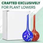 Plant Watering Globes Set of 2 - Image 7