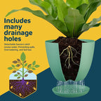Mint Plant Pots with Drainage Holes & Saucers 15 Pack, Indoor & Outdoor - Image 6
