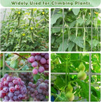 Cucumber Trellis for Raised Bed, Garden Arch Trellis for Climbing Plants Outdoor - Image 6