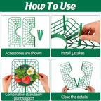 4 Sets Strawberry Plant Support - Image 3