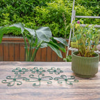 Monstera Plant Stem Support - Image 7