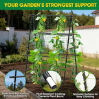 Cucumber Trellis, Metal Garden Trellis - Image 3