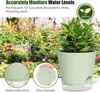 Plant Pots 6 Inch Self Watering Pots, 6 Pack Plastic Planters - Image 7