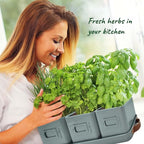 volila Herb Planter Indoor - Image 4