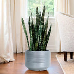 10 Inch Ceramic Plant Pot with Drainage – Large Flower Pot - Image 7