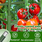 ANPHSIN 3 Sets Tomato Cages - Image 3