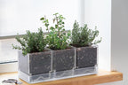 D'vine Dev Herb Garden Planter Set, Plastic Plant Pots - Image 7