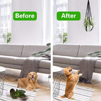 Augshy Macrame Hanging Planter, 2 Pack Hanging Planters - Image 6