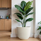 WORTH Garden Round Large Planter Pot 1-Pack - Image 5