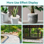 15 lbs White Rocks for Landscaping, 1-2 inch Decorative Rocks for Plants Indoor - Image 6