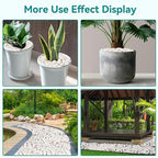 5 lbs White Rocks for Landscaping, 1-2 inch Decorative Rocks for Plants Indoor - Image 6