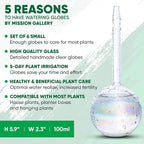 Clear Plant Watering Globes Set of 6 - Image 3