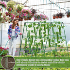 Cucumber Trellis for Raised Beds, 45 x 53 Inch Adjustable Size A-Frame Garden - Image 5