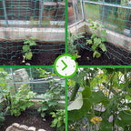 Trellis Netting for Climbing Plants - Image 4