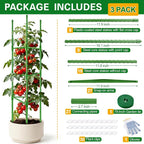 WAENLIR 3-Pack Tomato Cage for Garden, Plant Stakes for Pots, Durable Tomato - Image 2