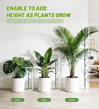 Plant Support Stakes, 1 Roll Tie - Image 2
