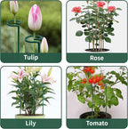 36” Tall Plant Stakes, 6 Pack Plant Support Stakes, 6mm Heavy-Duty Metal Garden - Image 6