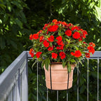 TQVAI 10 Inch Railing Planter - Image 7