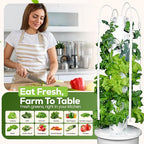 GX Hydroponic Tower | Vertical Planter Tower | Hydroponics Growing System Kit | - Image 7