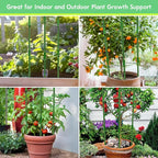 Riare 4 Pack 4 FT Tomato Cages for Garden- 48inches Heavy Duty Tomato Stakes - Image 7