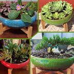 ARTKETTY Succulent Pots - Image 5