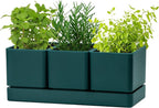 D'vine Dev Herb Garden Planter Set, Plastic Plant Pots by DvineDevPlanterPotsandStand