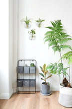 Mkono Wall Planter Propagation Stations Hanging Glass Terrariums Vase Container - Image 7