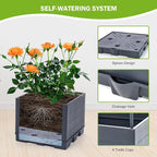 GENMOUS Raised Garden Bed with Tomato Planter Box Trellis, Tomato Planter Cage - Image 4