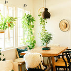 6Pack 2.5Inch Ceiling Hooks for Hanging Plant, Hanger for Indoor and Outdoor - Image 8