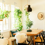 2Pack 2.5Inch Ceiling Hooks for Hanging Plant, Hanger for Indoor and Outdoor - Image 8