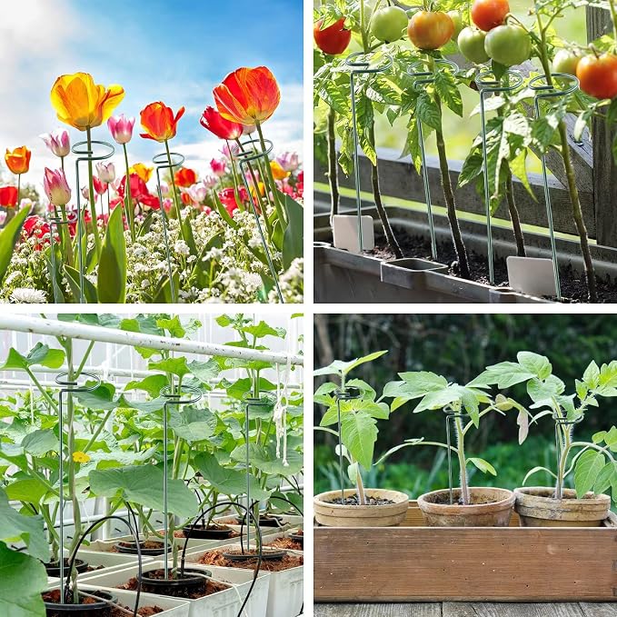 36 Inch 20 Packs Plant Support Stake Garden Single stemmed Plant Support Hoops - Image 6