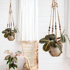 Mkono 3 Pack Macrame Plant Hangers Indoor Different Size Hanging Planter Basket - Image 3