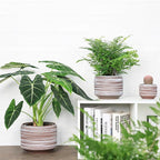 8 Inch + 6 Inch Ceramic Plant Pots Indoor - Image 4