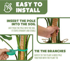2 Pack 48" and 28'' Bendable Moss Pole Monstera Plant Support - Image 6