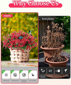 Faux Flowers for Outdoor Planters 16 Bundles UV Resistant Artificial Fake - Image 4