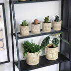 Gepege 4 Inch Small Indoor Succulent Ceramic Planter Pot - Image 6