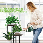 Plant Stand Indoor, 4 Tier Thickened Metal Corner Plant Shelf - Image 7