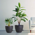 12/10/9 inch Large Self Watering Pots, Plant Pots - Image 7