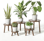 Delma Wood Plant Stands Indoor, Mid-Century Modern Plant Stool, Tall Plant Stand by Delma