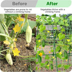 Cucumber Trellis for Raised Bed, U-Shape Garden Trellis for Climbing Plants - Image 7