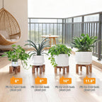 Plant Stand, Indoor/Outdoor Wood Plant Holder, Single Flower Pot Stand - Image 5