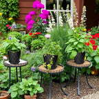 10 Pack 5 Inch Plant Pots with Drainage and Saucers, Stackable Nursery Planters - Image 6