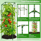 Legigo 6 Pack Square Tomato Cages - Image 5