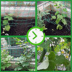 Trellis Netting for Climbing Plants - Image 4