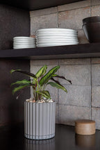 Veradek Demi Series Demi 6" Planter w/Tray - Image 5