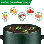 6 Pack Potato Grow Bags, 10 Gallon Planting Bags Durable PE Vegetable Planter - Image 3