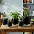 GARDIFE 2026 Upgraded Self Watering Plant Pots - Image 6