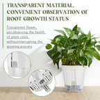 Self Watering Pots for Indoor Plants - Image 4